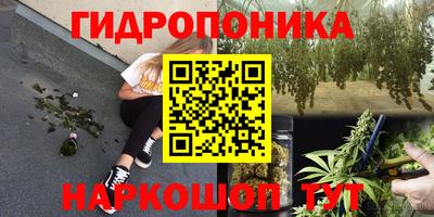 гашик Волгодонск